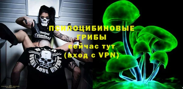 шишки Бугульма